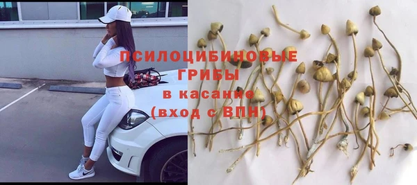 соль курить ск Белокуриха