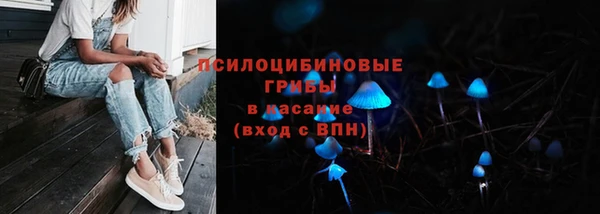 дживик Беломорск