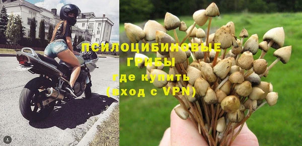 соль курить ск Белокуриха