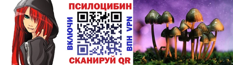kraken вход  Мезень  Галлюциногенные грибы Magic Shrooms 